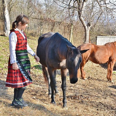 Ecopark Elena Bagian luar foto