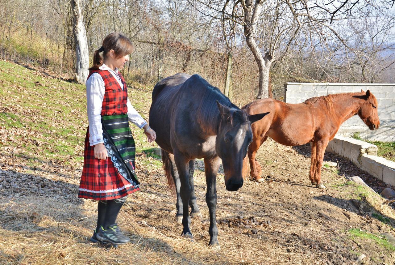 Ecopark Elena Bagian luar foto