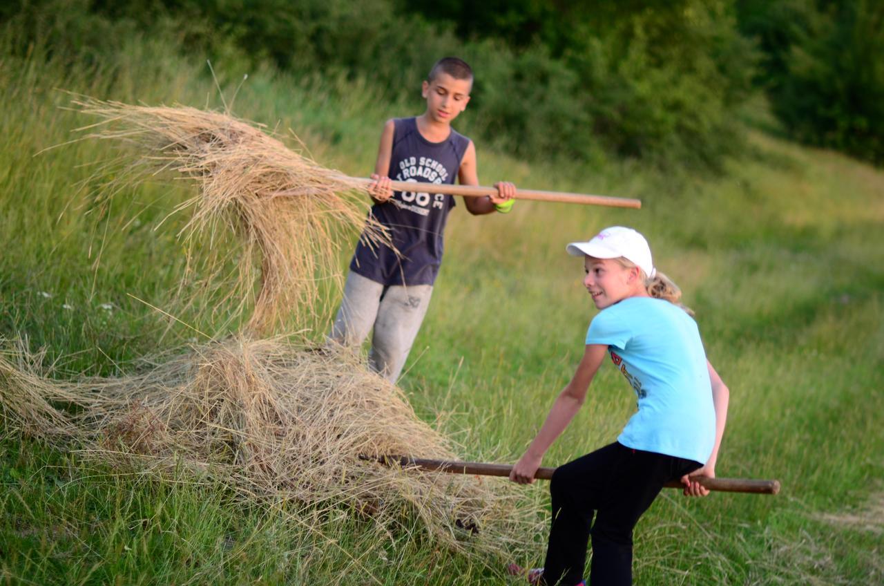 Ecopark Elena Bagian luar foto
