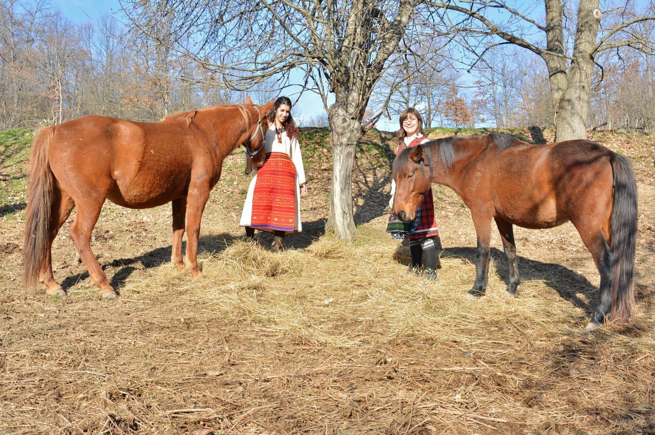 Ecopark Elena Bagian luar foto