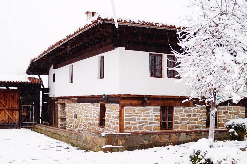 Ecopark Elena Bagian luar foto
