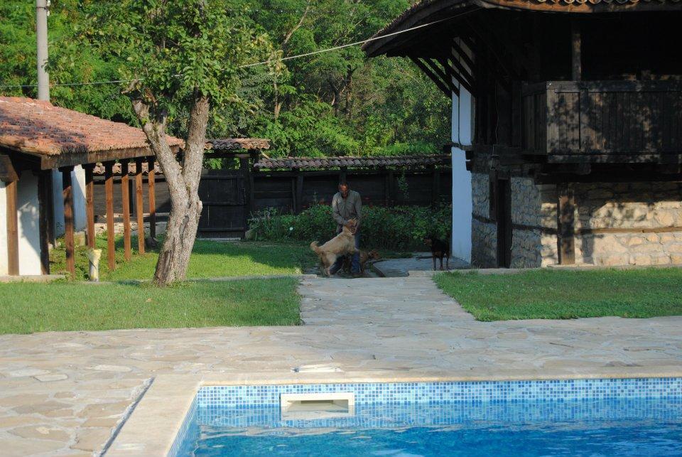 Ecopark Elena Bagian luar foto