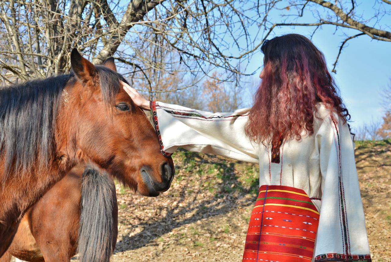 Ecopark Elena Bagian luar foto