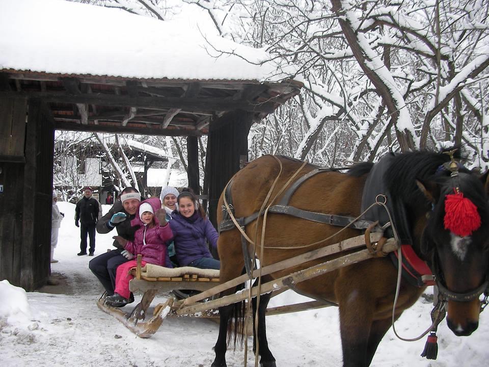 Ecopark Elena Bagian luar foto