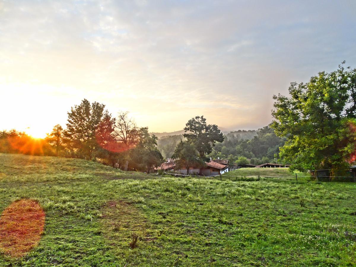 Ecopark Elena Bagian luar foto