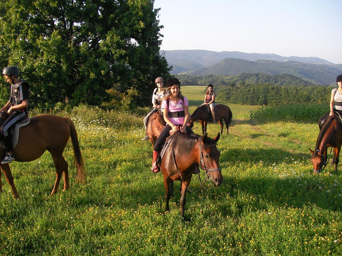 Ecopark Elena Bagian luar foto