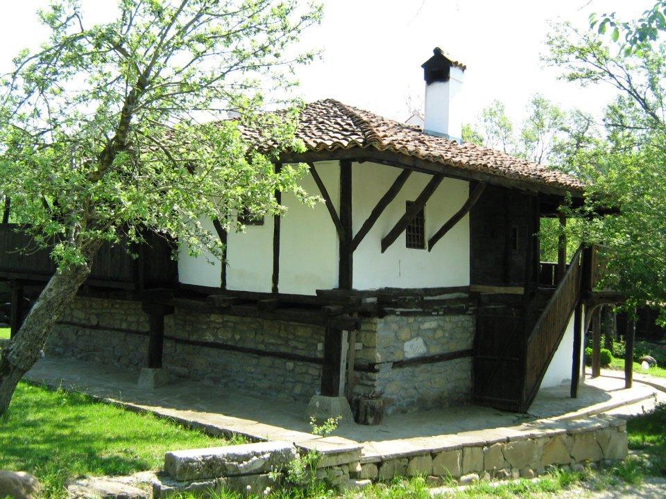 Ecopark Elena Bagian luar foto