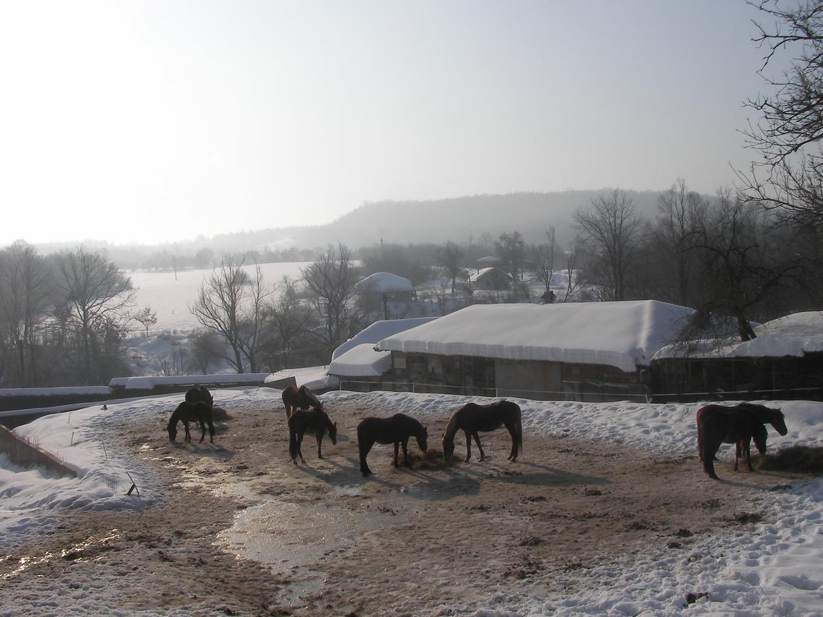 Ecopark Elena Bagian luar foto