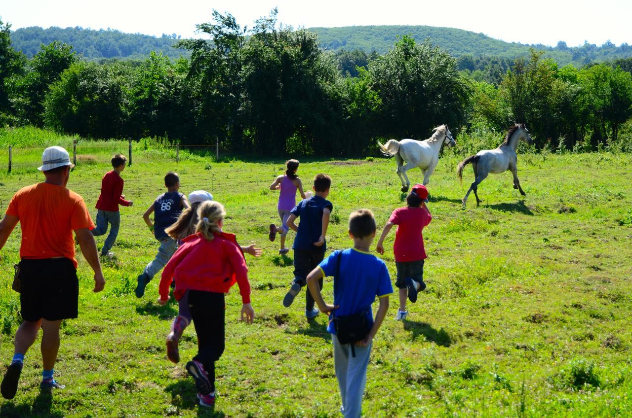Ecopark Elena Bagian luar foto