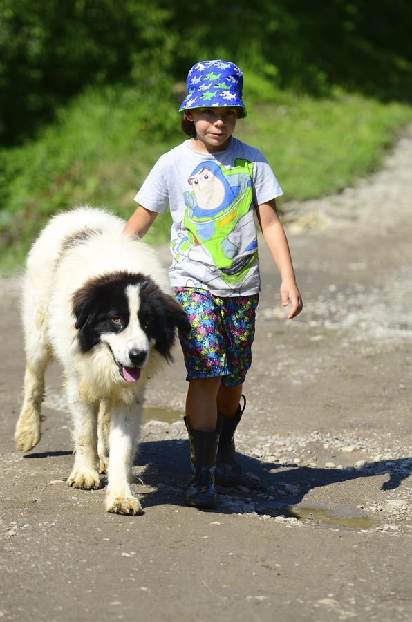 Ecopark Elena Bagian luar foto