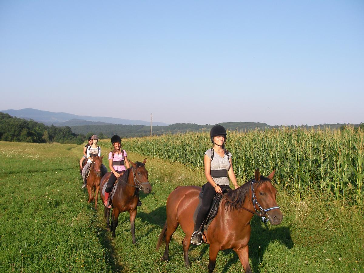 Ecopark Elena Bagian luar foto