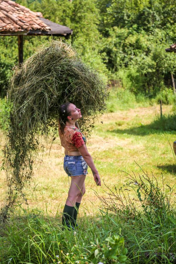 Ecopark Elena Bagian luar foto