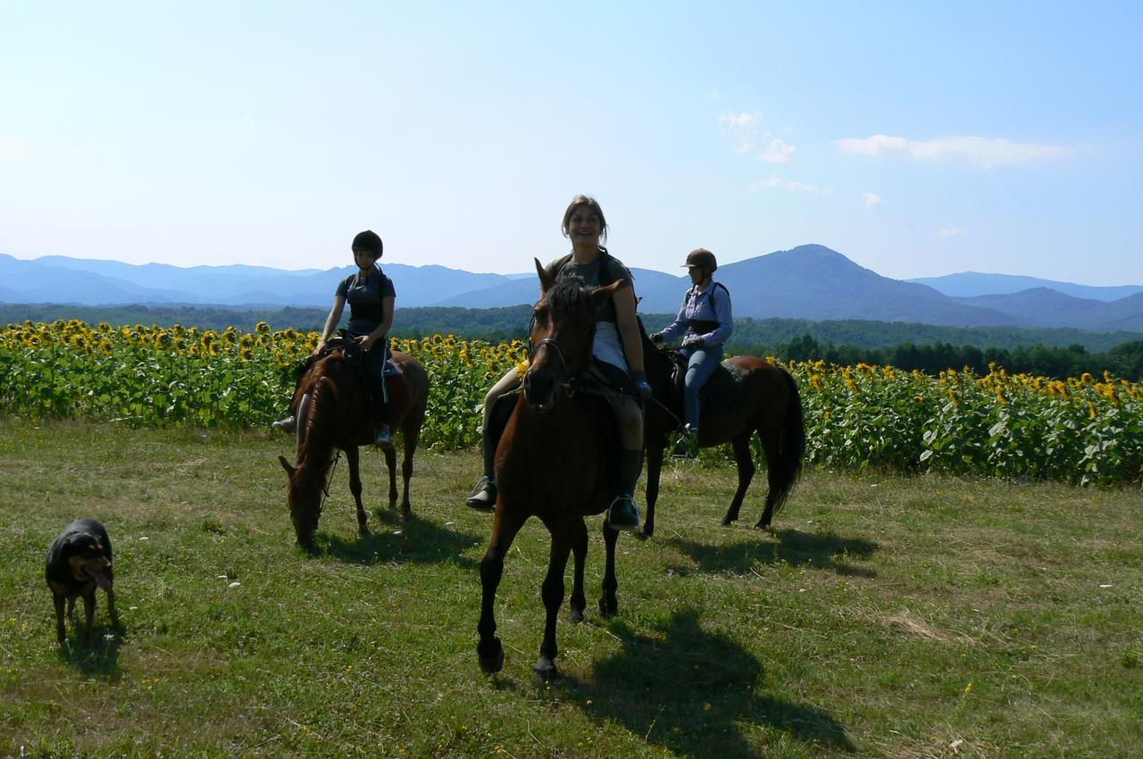Ecopark Elena Bagian luar foto