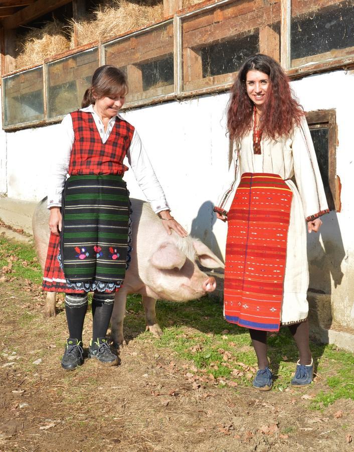 Ecopark Elena Bagian luar foto