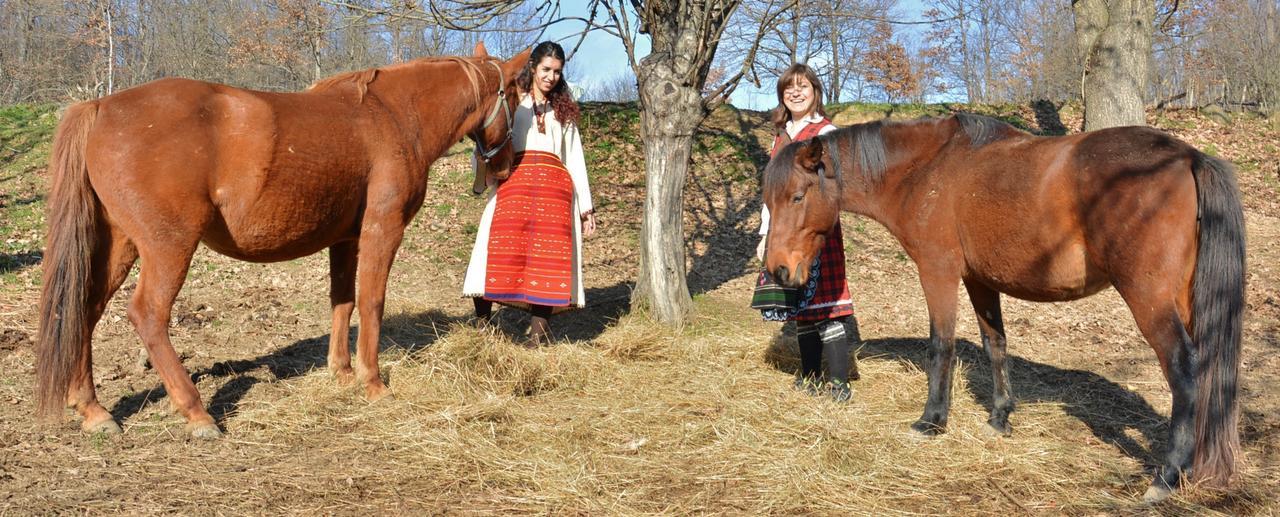 Ecopark Elena Bagian luar foto