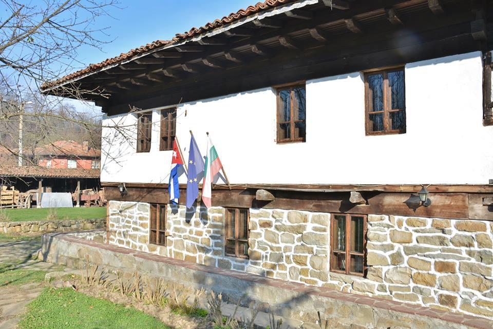 Ecopark Elena Bagian luar foto